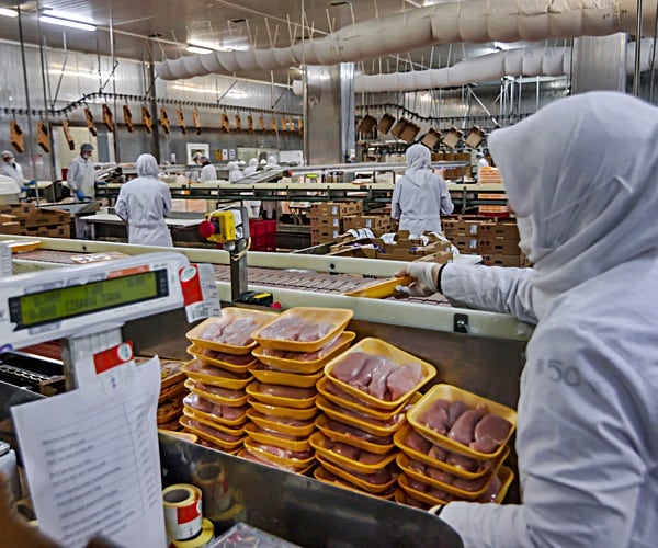 Uproar Among Workers Supplying the World's Meat Is Spreading