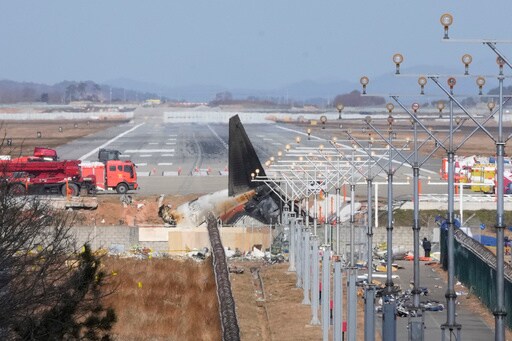 South Korean Plane Crash Report Says Bird Remains Were Found in Engines, but No Cause Yet Revealed