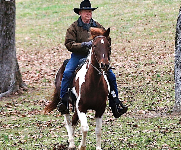 roy moore rides horseback to the ballot back before losing his senate race in alabama