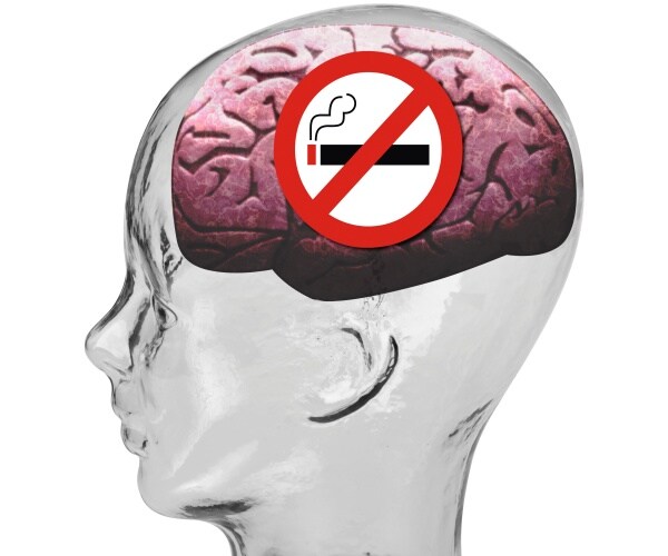 a head, showing a cigarette with red slash through it on top of brain