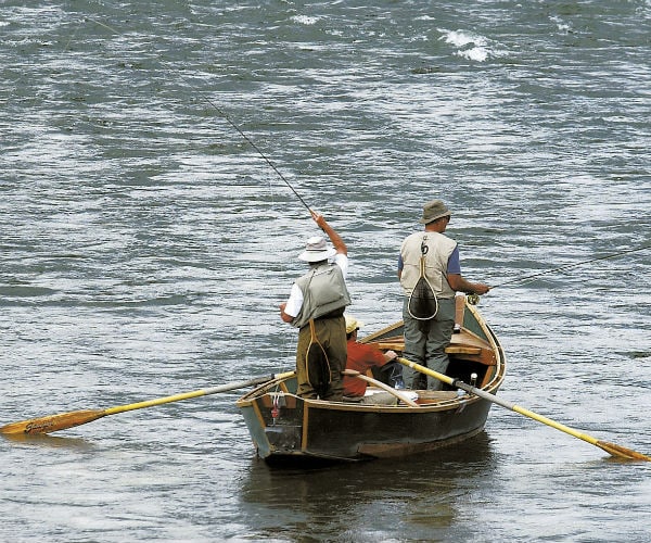 Deadly Fish Parasite Forces Yellowstone River Closure in Montana