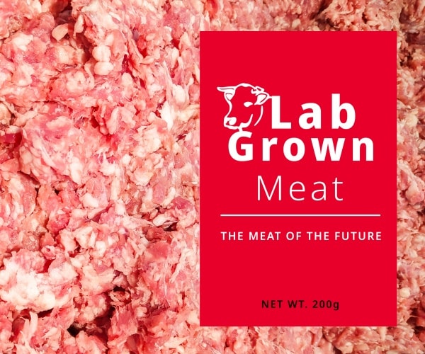 conceptual package of lab-grown meat labeled 'meat of the future'