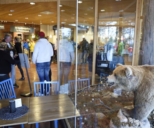 Bear Kills Zookeeper at Swedish Zoo