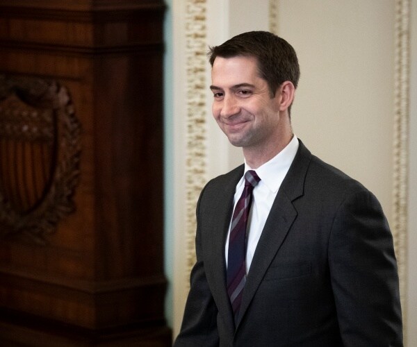 cotton in a dark gray suit and purple and blue striped tie