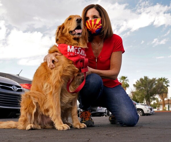 McSally Concedes Senate Race in Arizona