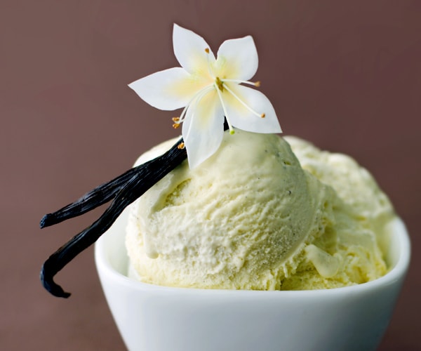 Vanilla Shortage to Raise Price of America's Favorite Ice Cream