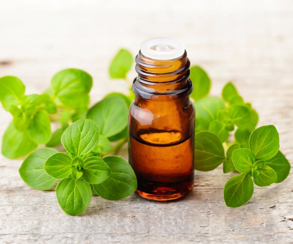 oregano oil