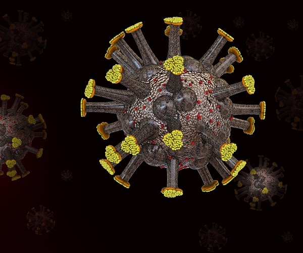 coronavirus cells