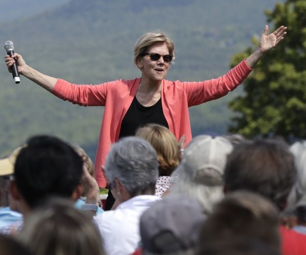 NYT: Dems Excited, Worried About Elizabeth Warren