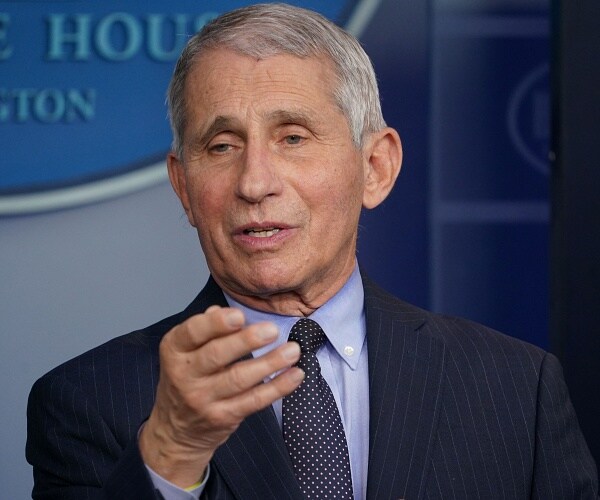 anthony fauci speaks at press briefing