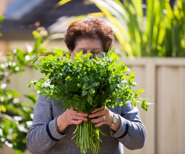 woman trying to smell herbs from garden