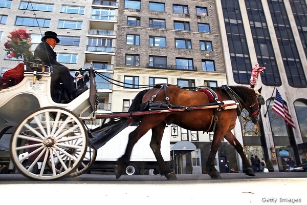 Liam Neeson Narrates Film in Defense of Central Park Horses