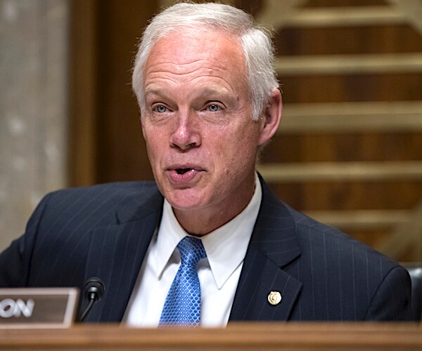 ron johnson speaks during a senate hearing