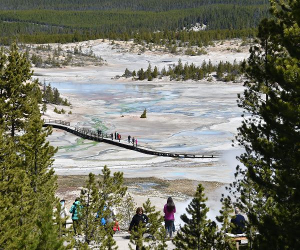 Man Falls Into Yellowstone Hot Spring Without a Trace