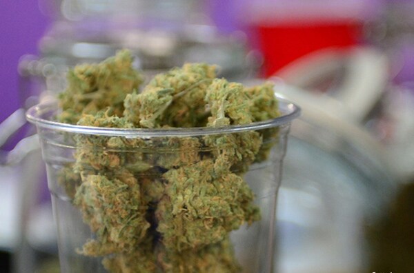 Medical Marijuana: Fewer Deaths as Painkillers Replaced?