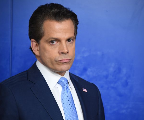 Anthony Scaramucci in Harvard Directory Erroneously Listed as Dead