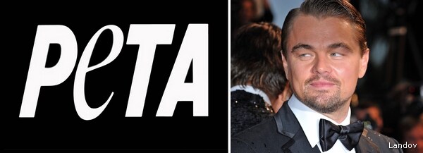 PETA: DiCaprio Should Know Better Than Working With Apes on Set