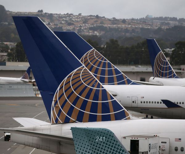 Dog Dies in United Flight's Cargo Hold After Plane Delayed