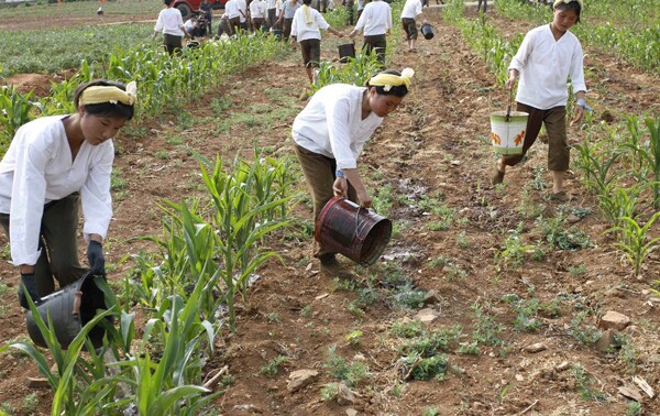 North Korea Drought Could Be Worst the Country Has Seen in 100 Years