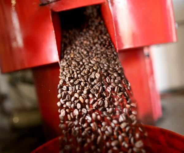 Coffee Shortage? Climate Change Wreaking Havoc on Your Cup of Joe