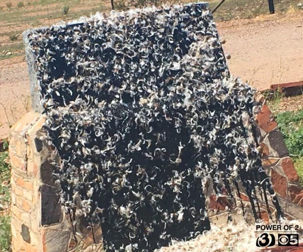 Jefferson Davis Monument in Arizona Tarred and Feathered