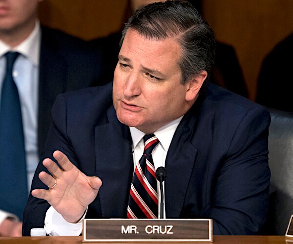 ted cruz speaks during a senate committee hearing