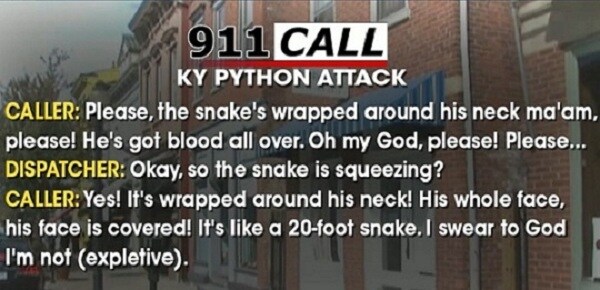 Kentucky Python With a Crush on Pet Shop Owner Is Pried Off