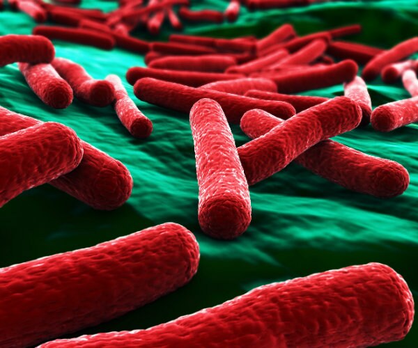 New Superbug Resistant to Last-line Antibiotics: Study