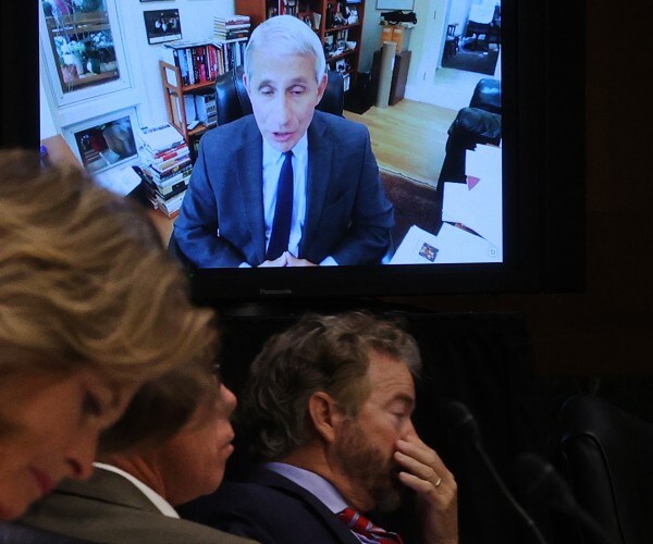 republican senator rand paul listening to testimony by dr anthony fauci