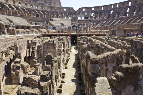 Roman Gladiators' Diet Was Vegetarian With Ash Drink, Study Says