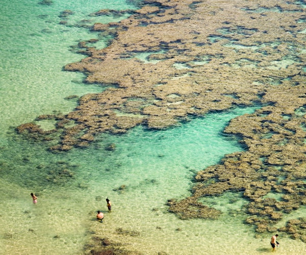 Hawaii Would Ban Coral-Killing Sunscreens