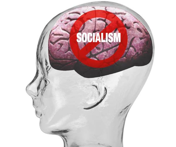 a brain seen inside a clear human head with the word socialism crossed out