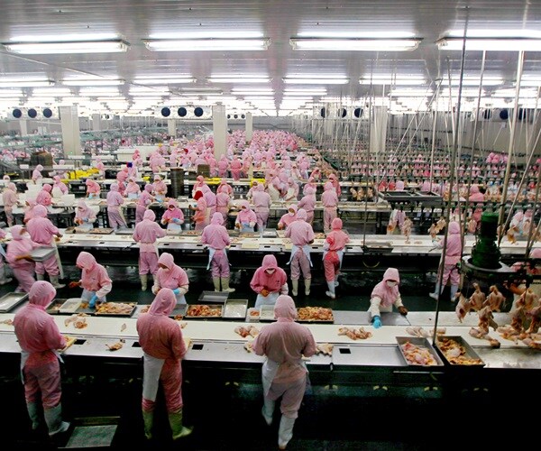 China Suspends Poultry Imports From Tyson Plant After Outbreak