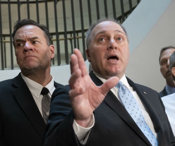 steve scalise and russ fulcher are seen as scalise gestures with his right hand while speaking to reporters.