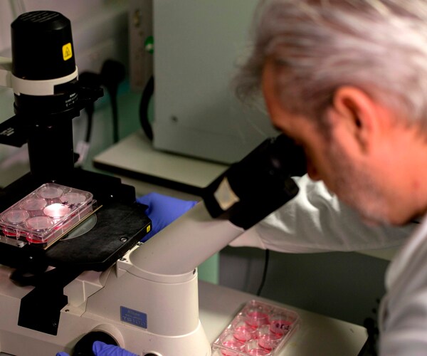 a doctor examines bacteria containing the covid-19 virus through a microscope