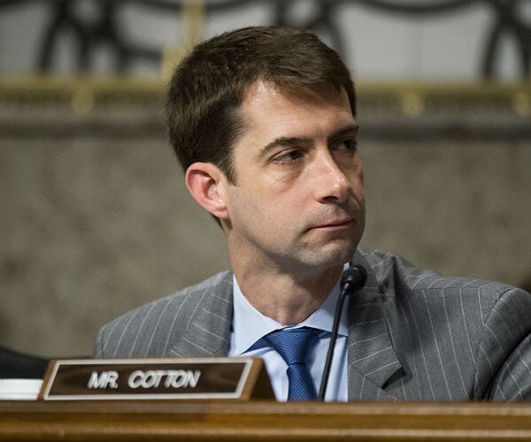 Sen. Tom Cotton: Trump Should Focus on Keeping Country Safe