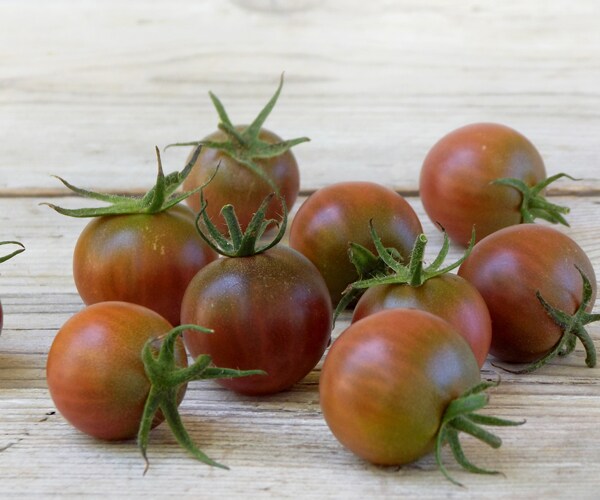 study-how-tomatoes-are-stored-doesn-t-affect-taste-newsmax