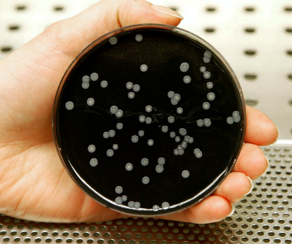 Legionnaires' Disease Outbreak: 2 Dead in NYC as Officials Seek Cause