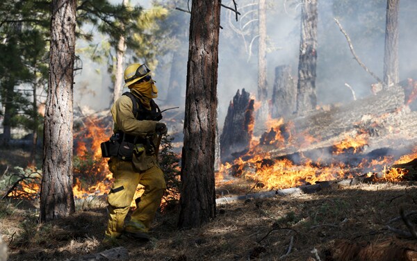 San Bernardino Fire Burns Up 11,000 Acres in Drought-Dried California