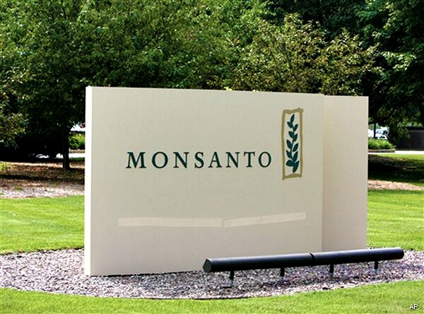 Monsanto Lawsuit on Biotech Wheat Joins Suggestions of Foul Play