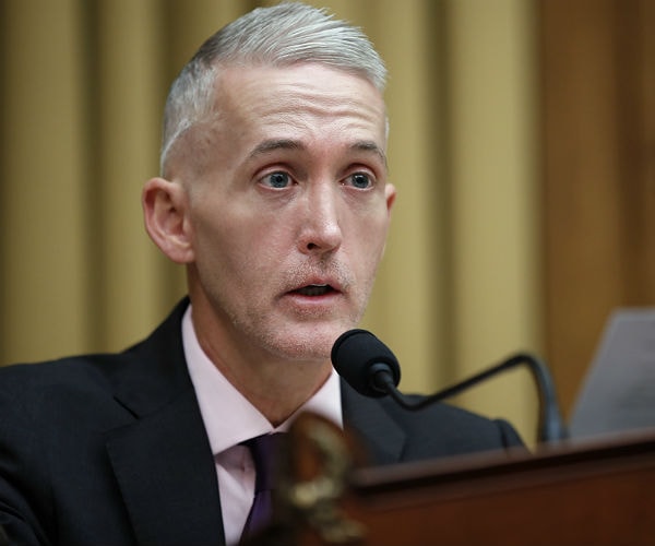 Rep. Gowdy: Dems Did 'Everything They Could' to Stop FISA Memo