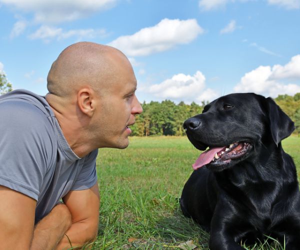 man with black dog in the park at sunny day