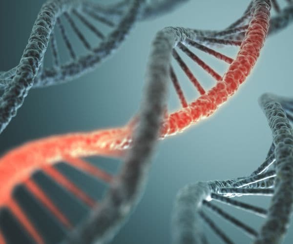 Human DNA Editing to Prevent Serious Conditions a Future Possibility