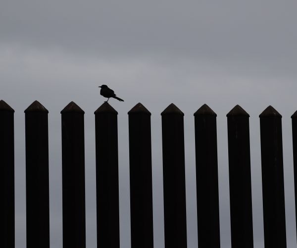 Judge Sides With Trump on Challenge to Mexico Border Wall