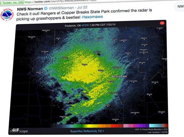 Bug Swarm So Big, It's Picked Up on Weather Radar Over Texas