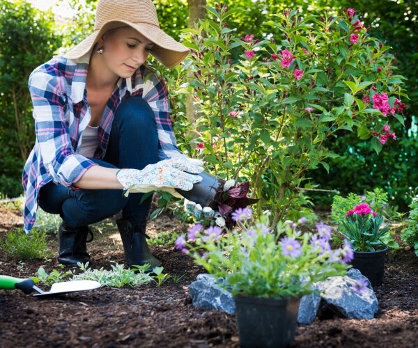 woman gardening