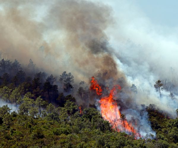 France Wildfires Spark Evacuation of 12,000 in 3 Riviera Towns