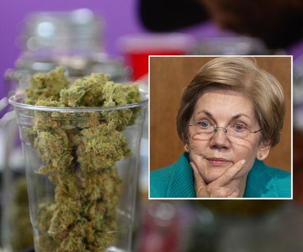 Elizabeth Warren's Marijuana Study Request to CDC Proposes Opioid Alternative