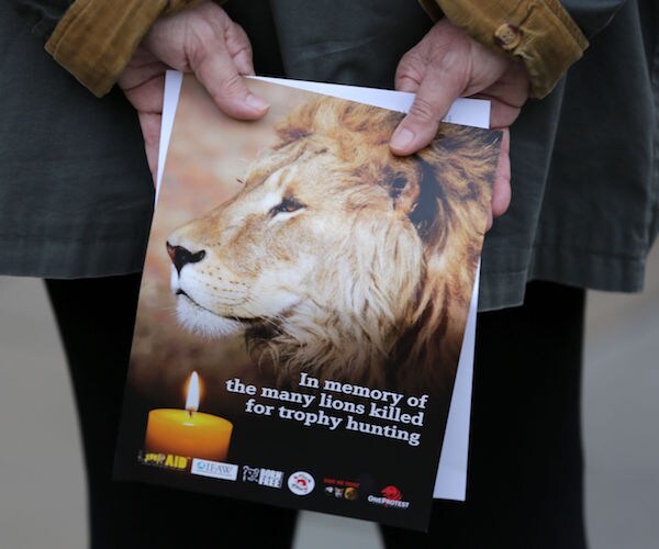 Cecil the Lion Suffered For Hours Before He Died, Researcher Claims