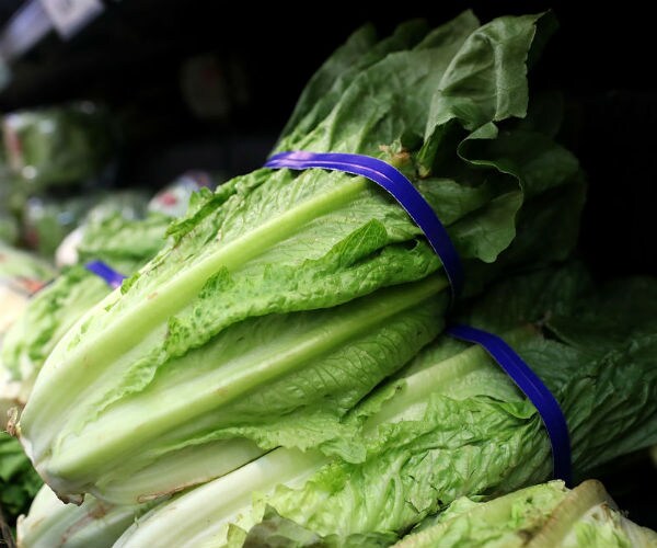 E. Coli Romaine Death Reported in Outbreak